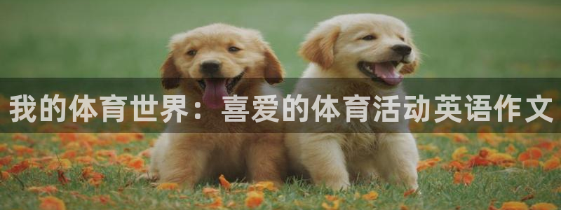 注册欧亿体育官方正版app:我的体育世界:喜爱的体育活动英语