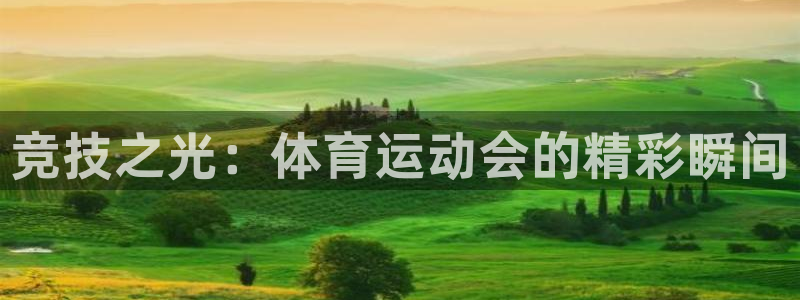 oety欧亿体育官网下载平台:竞技之光:体育运动会的精彩瞬间