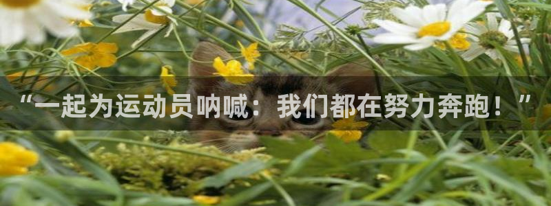 欧亿体育官方正版app新能源:“一起为运动员呐喊:我们都在努